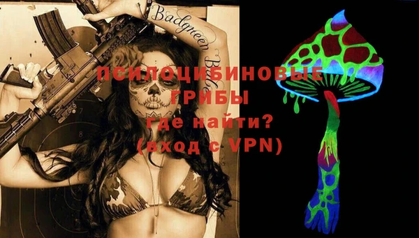 дурь Верея