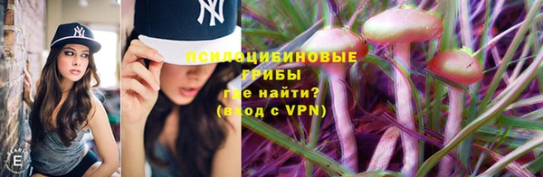 скорость Бронницы
